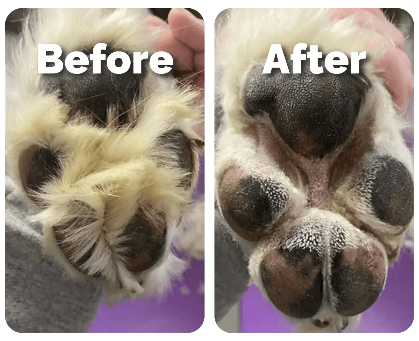 Pet Hair Trimmer