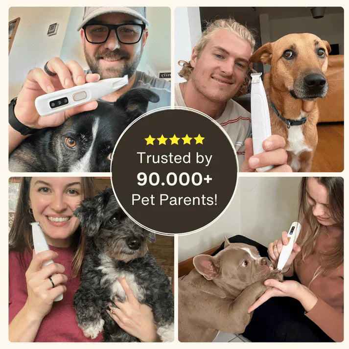Pet Hair Trimmer