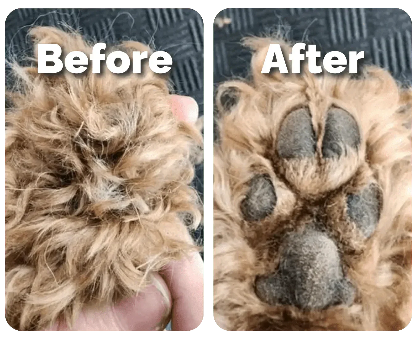 Pet Hair Trimmer