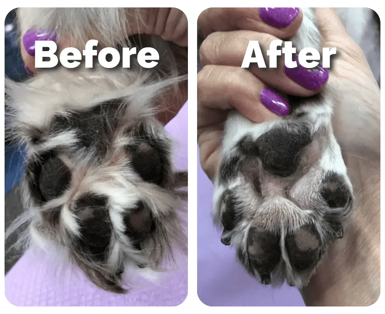 Pet Hair Trimmer