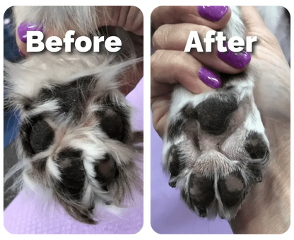 Pet Hair Trimmer