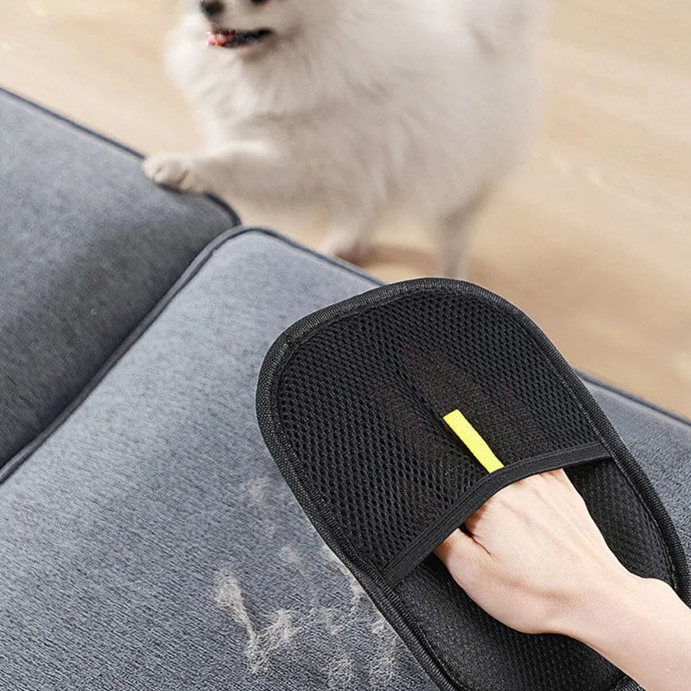 Magic Brush