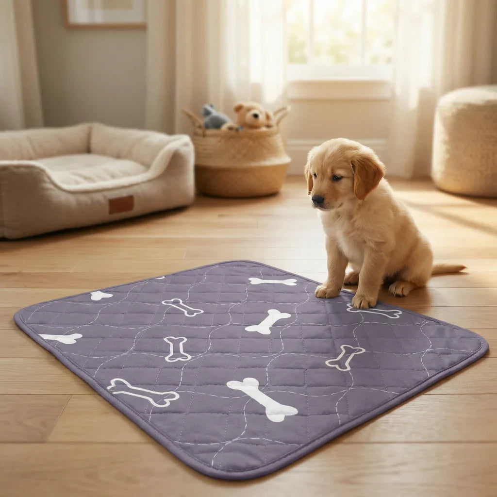 DryHome Pad