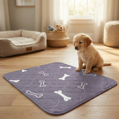 DryHome Pad