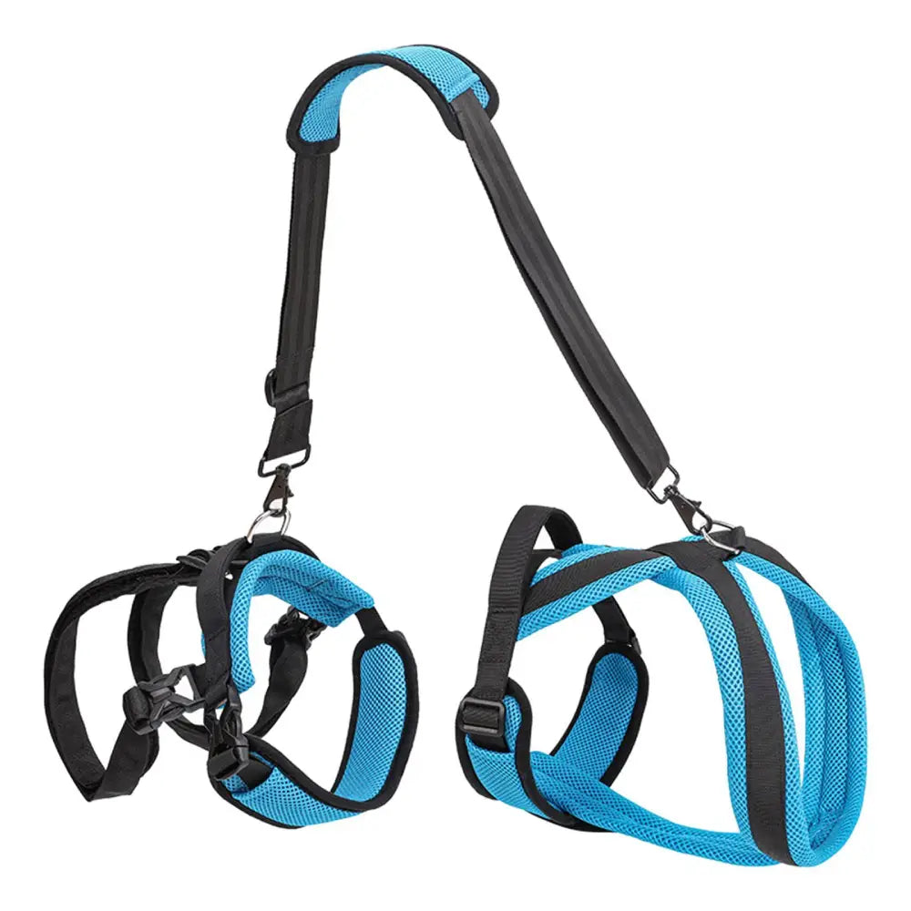 Mobility Harness