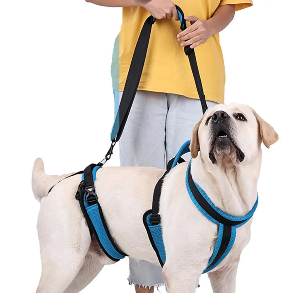 Mobility Harness