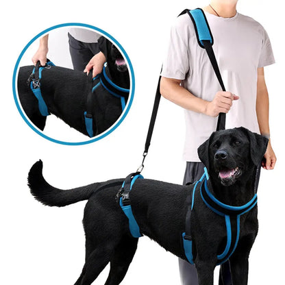 Mobility Harness