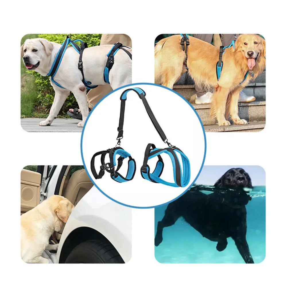 Mobility Harness