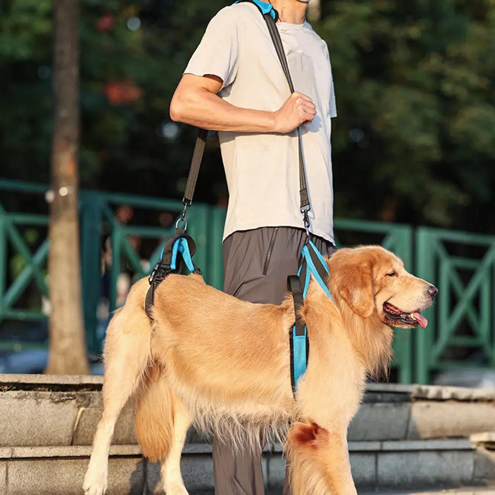 Mobility Harness