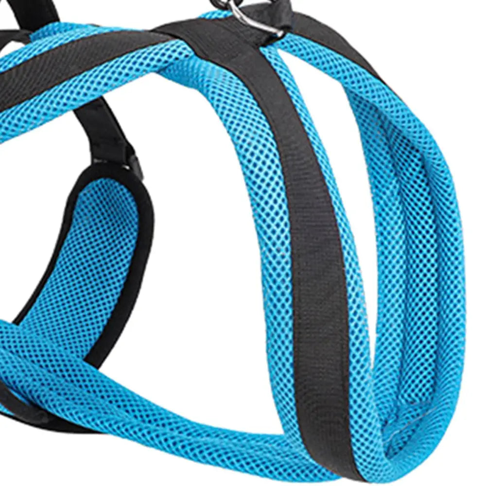 Mobility Harness