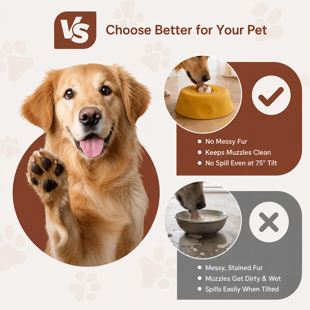 Dog Slow Feeder