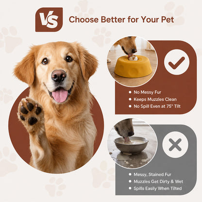 Dog Slow Feeder