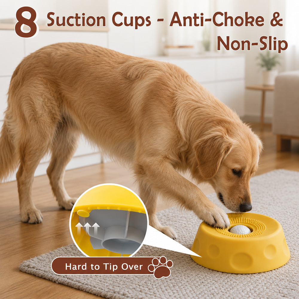 Dog Slow Feeder